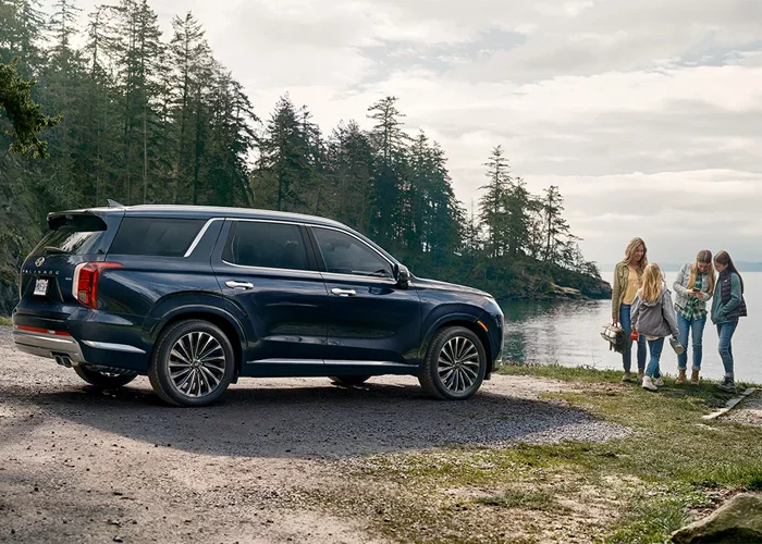 2024 Hyundai Palisade - Performance 2024 Hyundai Palisade parked in front of water