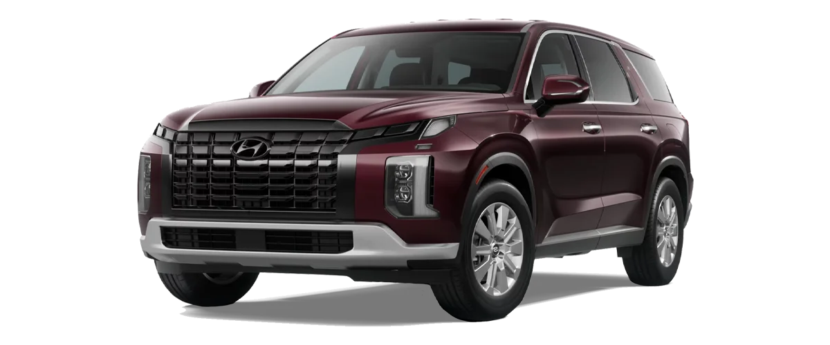 2025 Palisade SE Cut-out