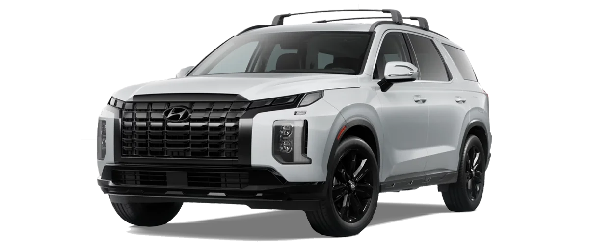 2025 Palisade XRT Cut-Out