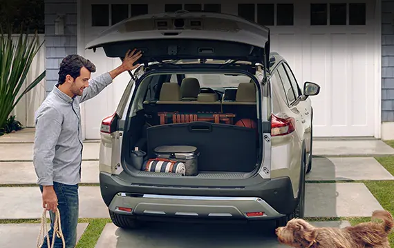 Rogue view of rear cargo area