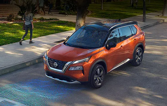 Rogue driving on highway